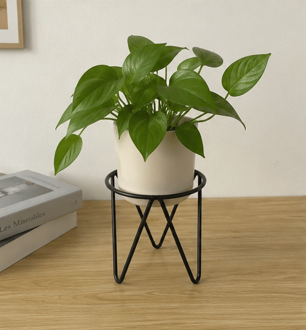 Tabletop metal plant stand
